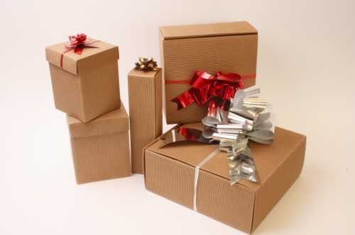 Kadodoos Dozza Met Deksel Naturel 431gram 12x12x15cm 10stuks