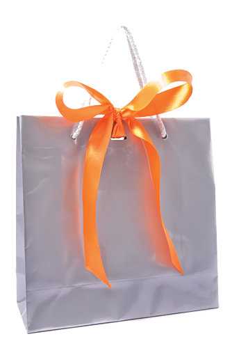 Kadotasje Sora Zilver Glans & Koord & Lintgleuf 23x9x23cm 10stuks