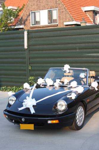 Trouwpakket Voor Auto Met Strikken en Lint Iris Wit 21delig