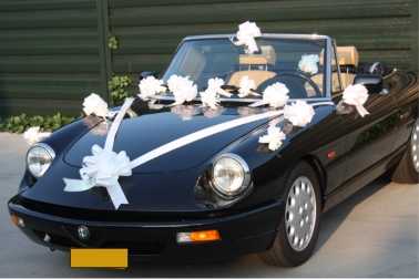 Trouwpakket Voor Auto Met Strikken en Lint Iris Wit 21delig