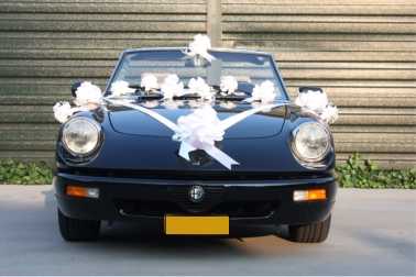 Trouwpakket Voor Auto Met Strikken en Lint Iris Wit 21delig