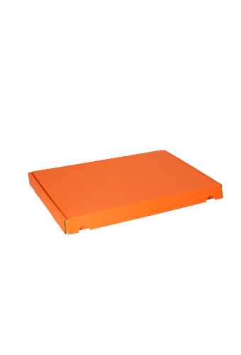 Brievenbusdoos Met Klep Pinto Kraft Oranje A4 31x22x2.6cm 25stuks