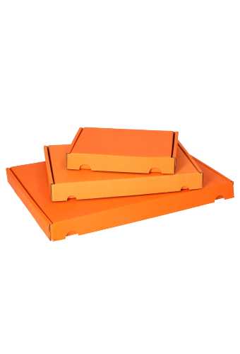 Brievenbusdoos Met Klep Pinto Kraft Oranje A4 31x22x2.6cm 25stuks