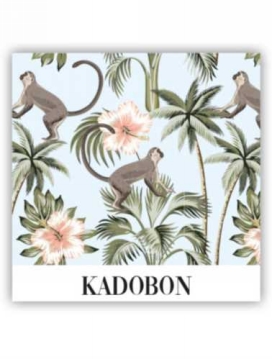 Kadobon Oloha & Monkey + Envelop 12x12cm 12stuks