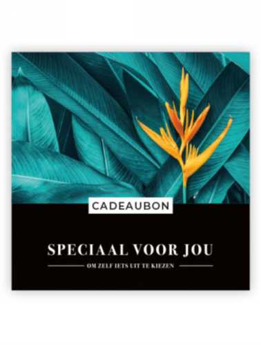 Kadobon Speciaal Voor Jou & Bloem + Envelop 12x12cm 12stuks