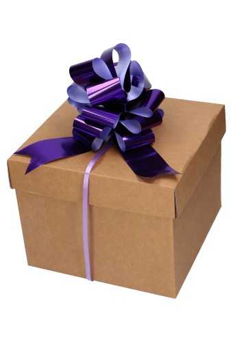 Strik Paars Metallic Doorsnee 15cm lint 5cm 1stuks