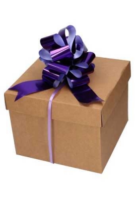 Strik Paars Metallic Doorsnee 15cm lint 5cm 1stuks