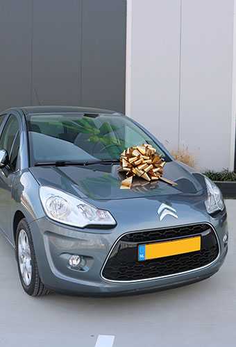 AKTIE Autostrikken Groot Padova XL Metallic Goud d40+22cm Hoogte 28cm.