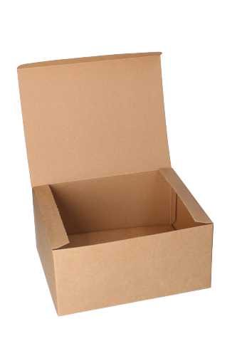 Delivery Box Naturel 435gram karton 10stuks Krabbendam Kadoverpakking