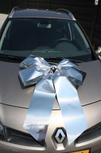 Kleur Strik Metallic Zilver Livorno