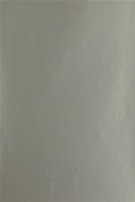 Geschenkpapier Mat Zilver 50cm x 200meter Geschenkpapier Mat Zilver 50cm x 200meter