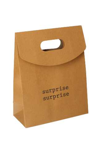 Geschenktasjes Met Handgreep Mocona Surprise Kraft 19x9x24.5cm 12stuks