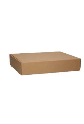 Verzenddoos Klepdoosje Budget Fast Naturel 40.5x32x8cm 10stuks