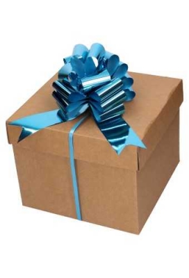 Strik Aqua Blauw Metallic Doorsnee 15cm lint 5cm 1stuks