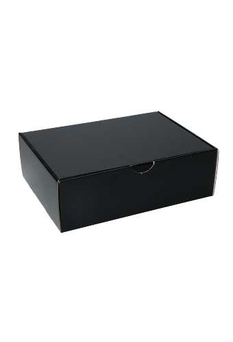 OPRUIMING Klep Verzenddoos Pinto Glans Zwart 25x18.4x8cm 25stuks