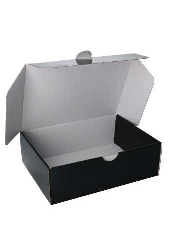 OPRUIMING Klep Verzenddoos Pinto Glans Zwart 25x18.4x8cm 25stuks