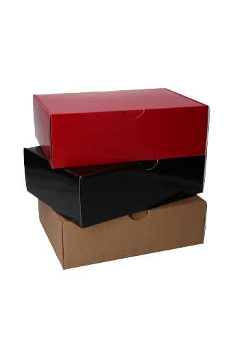 OPRUIMING Klep Verzenddoos Pinto Glans Zwart 25x18.4x8cm 25stuks