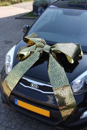 Magnum Autostrik Livorno Eigen design Print 70x50+60cm