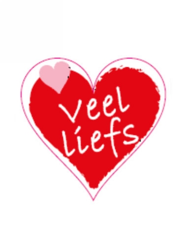 Etiketten Liefde Veel Liefs 4x3.5 cm 500stuks