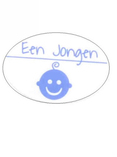 Etiketten Baby Een Jongen Blauw 3.8x2.5 cm 500stuks