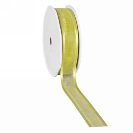 Luxe Organza Lint Met Satijnen Rand Licht Groen 25mm x 25meter