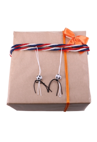 Luxe Strikje Satijn Oranje & Plakker 6x5cm 250stuks lint 1.5cm