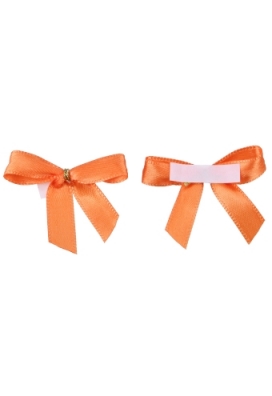 onderwijs omringen kleding stof Luxe Strikje Satijn Oranje & Plakker 4x3.5cm 250stuks lint 1.0cm Krabbendam  Kadoverpakking