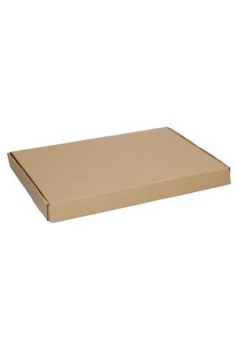 Brievenbusdoos Klep Pinto Kraft A4 Plus 36.5x24.5x3cm 25stuks