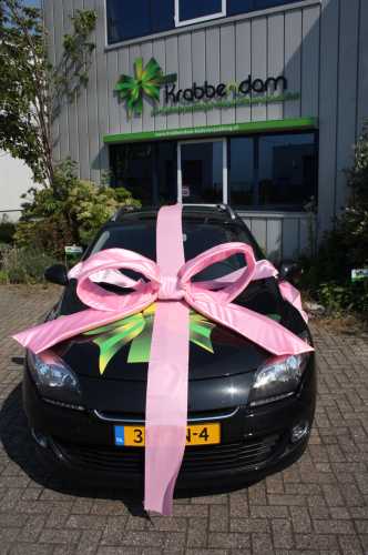 Super Autostrik Salerno Licht Roze 120x100x50cm Met Lint en