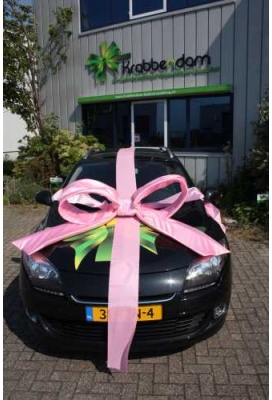 Super Autostrik Salerno Licht Roze 120x100x50cm Met Lint en Zuignap