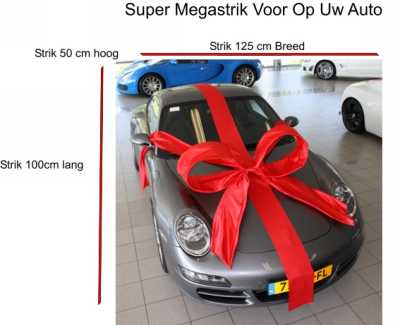 Super Autostrik Salerno Licht Roze 120x100x50cm Met Lint en Zuignap