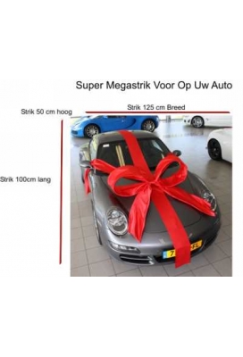 Super Autostrik Salerno Licht Roze 120x100x50cm Met Lint en Zuignap