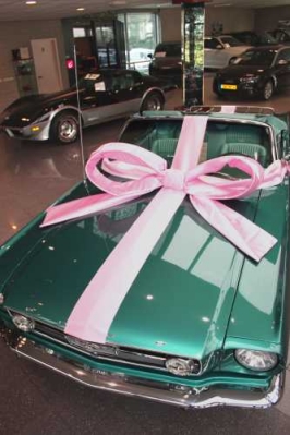 Super Autostrik Salerno Licht Roze 120x100x50cm Met Lint en Zuignap