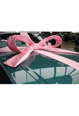 Super Autostrik Salerno Licht Roze 120x100x50cm Met Lint en Zuignap
