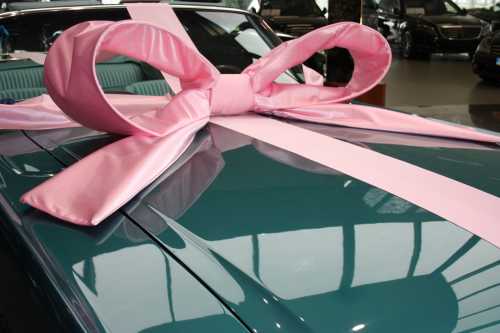 Super Autostrik Salerno Licht Roze 120x100x50cm Met Lint en Zuignap