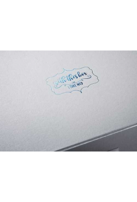 Luxueuze Magneetdozen Diamond & Lintje Zilver Mat 17x12x3.5cm 12st