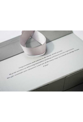 Luxueuze Magneetdozen Diamond & Lintje Zilver Mat 17x12x3.5cm 12st