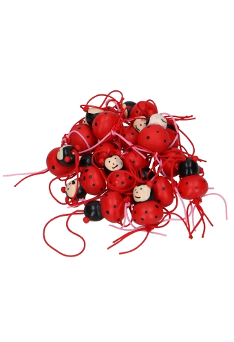 Gelukspoppetjes Groot Lieveheersbeestje Met Koord 50stuks