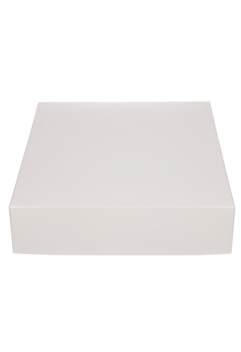 Geschenkdoos & Deksel Gaby Wit Blinkend 25x20x5cm 50stuks