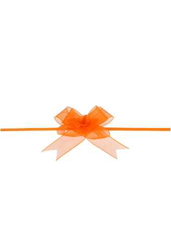 2 HALEN & 1 BETALEN Mini Trek Strikken Organza Oranje 15mm r45mm 10st