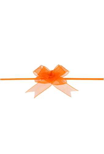 Mini Trek Strikken Organza Oranje 15mm r45mm 10st