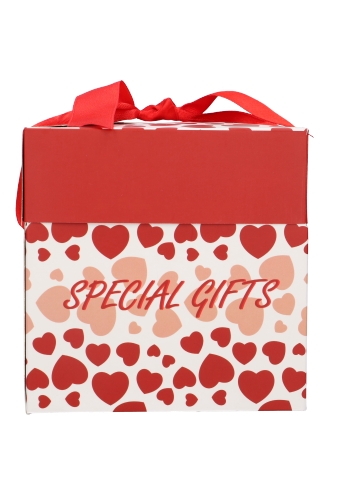 Geschenkdoos Regalo Special Gifts Hartjes Rood Lint 15x15x15cm 25stuks