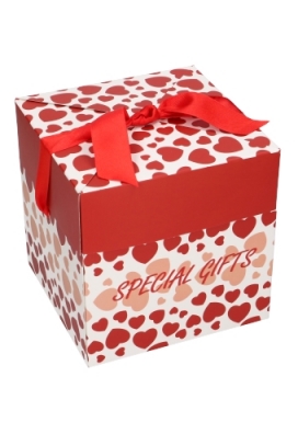 Geschenkdoos Regalo Special Gifts Hartjes Rood Lint 20x20x20cm 25stuks