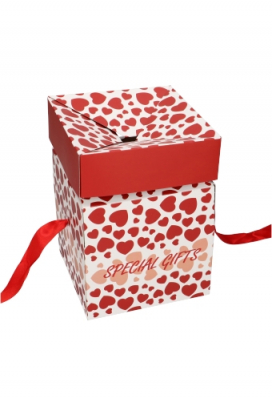 Geschenkdoos Regalo Special Gifts Hartjes Rood Lint 20x20x20cm 25stuks