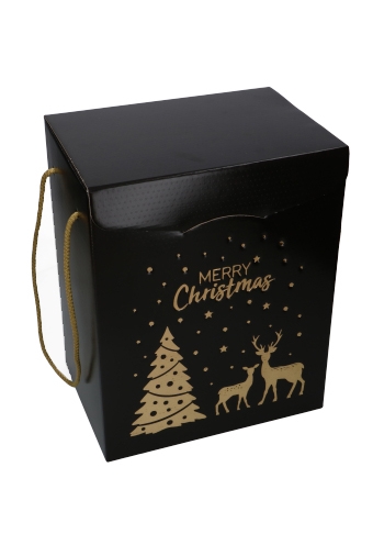 Geschenkdoos Merry Christmas Gold & Dark Brown Koord 28x20x35cm 20st