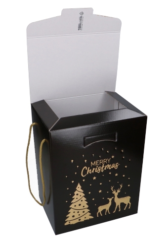 Geschenkdoos Merry Christmas Gold & Dark Brown Koord 28x20x35cm 20st