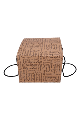 Geschenkdoos Zalig Kerstfeest Kraft & Koord 24.5x24.5x18cm 20stuks