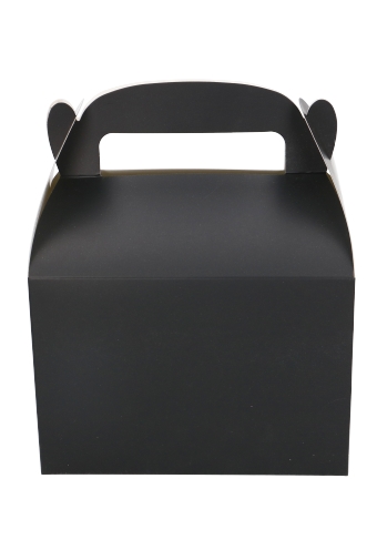 Draagdoosjes Danau Zwart 17.3x11.4x12.3cm 25stuks