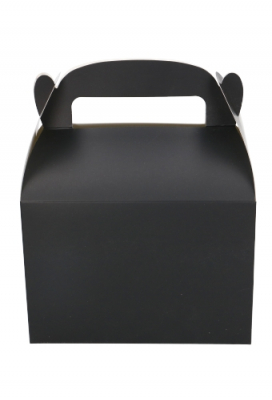 Draagdoosjes Danau Zwart 17.3x11.4x12.3cm 25stuks