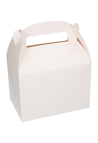 Draagdoosjes Danau Wit 17.3x11.4x12.3cm 25stuks